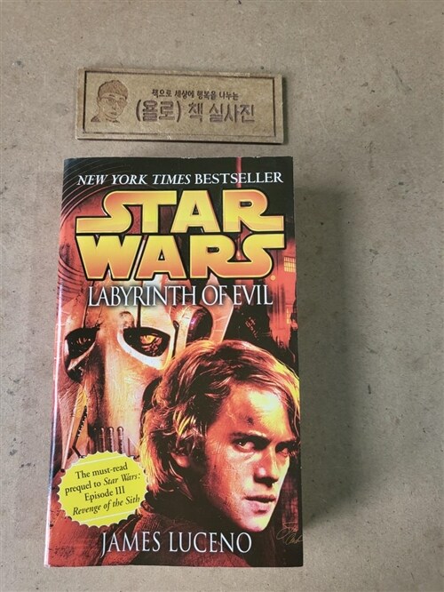 [중고] Labyrinth of Evil: Star Wars Legends (Mass Market Paperback)