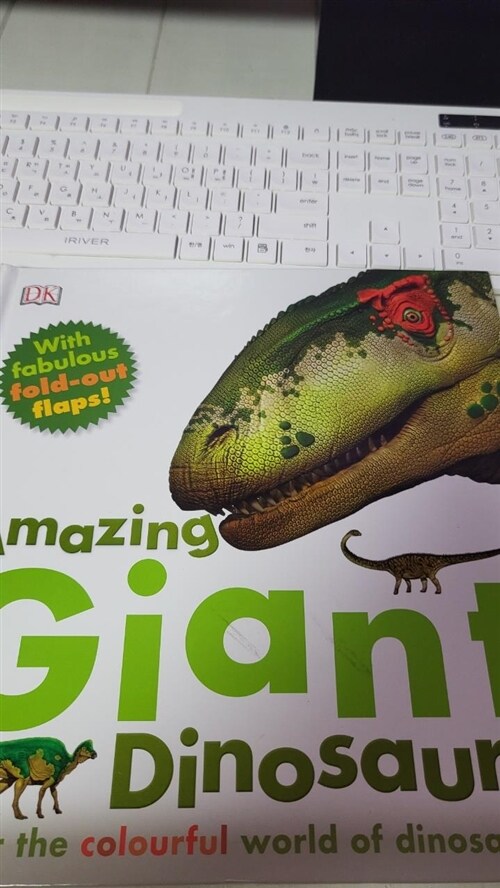[중고] Amazing Giant Dinosaurs : Enter the Colourful World of Dinosaurs (Hardcover)