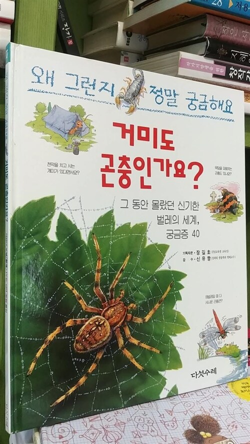 [중고] 거미도 곤충인가요?