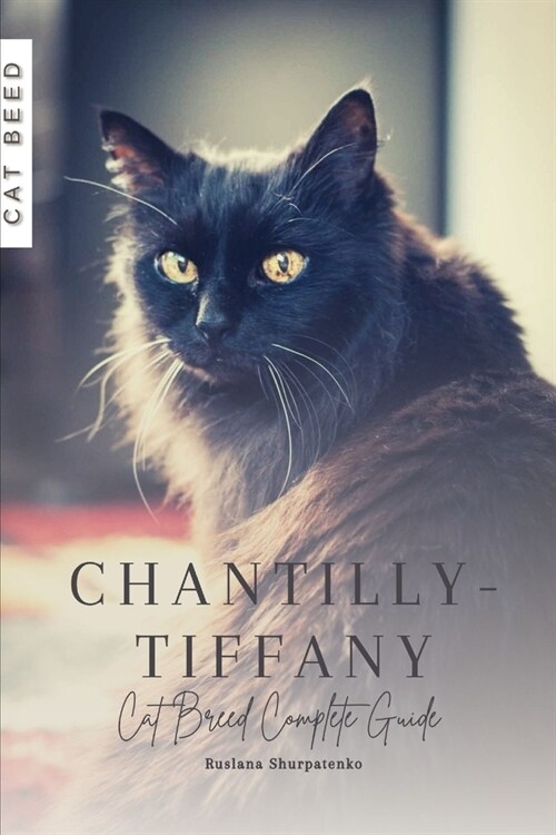 Chantilly-Tiffany: Cat Breed Complete Guide (Paperback)