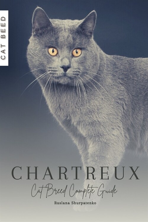 Chartreux: Cat Breed Complete Guide (Paperback)