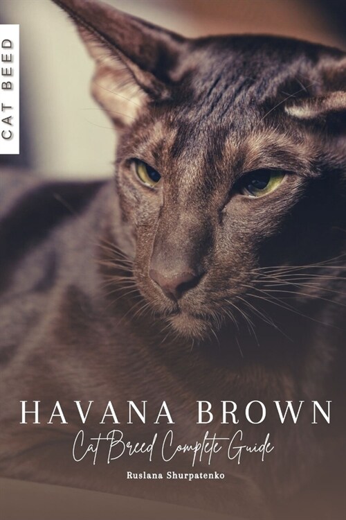 Havana Brown: Cat Breed Complete Guide (Paperback)