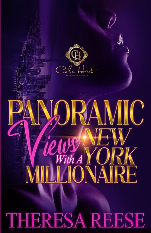 Panoramic Views With A New York Millionaire: An African American Romance (Paperback)
