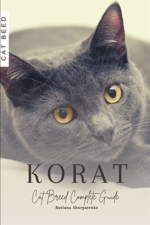 Korat: Cat Breed Complete Guide (Paperback)