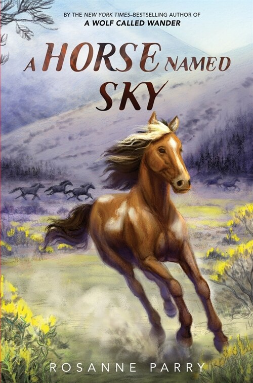 A Horse Named Sky (Paperback)