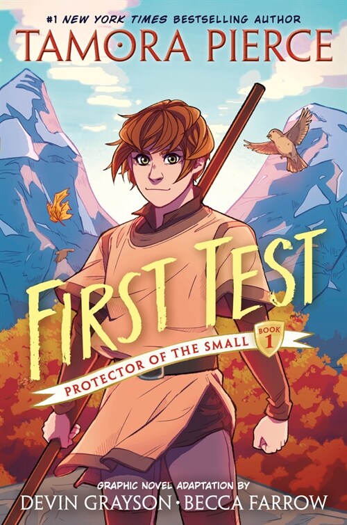 First Test Graphic Novel: (A Graphic Novel) (Paperback)
