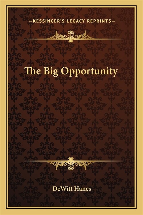 The Big Opportunity (Paperback)