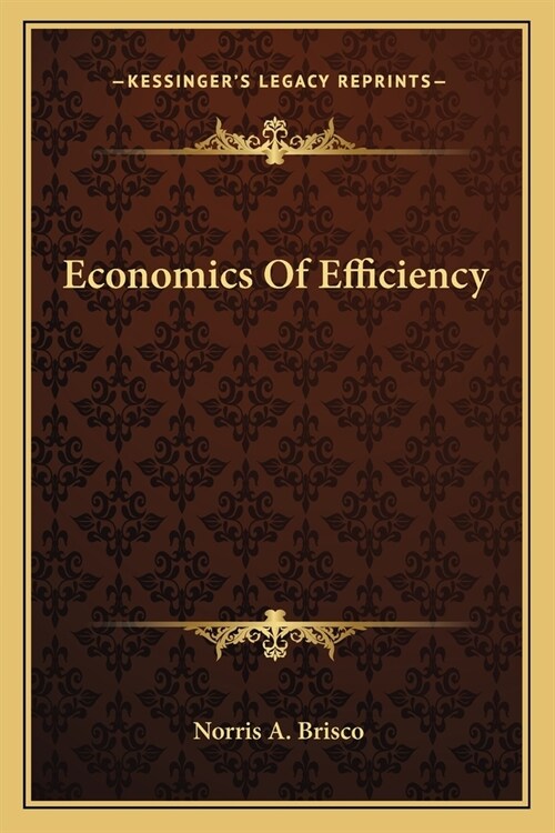 Economics Of Efficiency (Paperback)