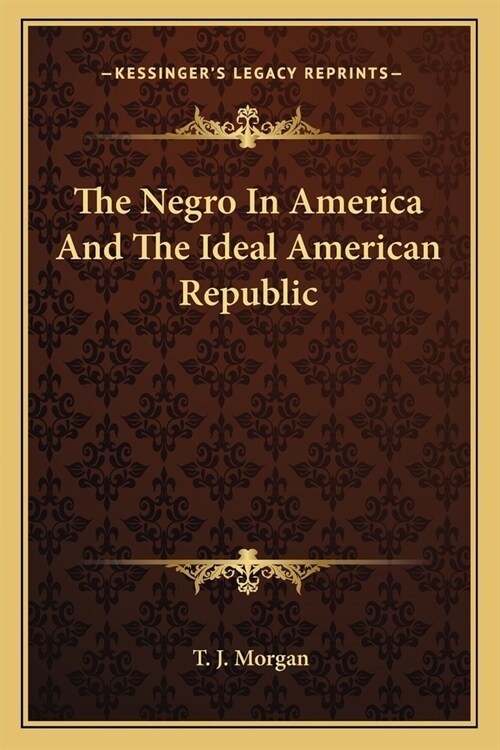 The Negro In America And The Ideal American Republic (Paperback)