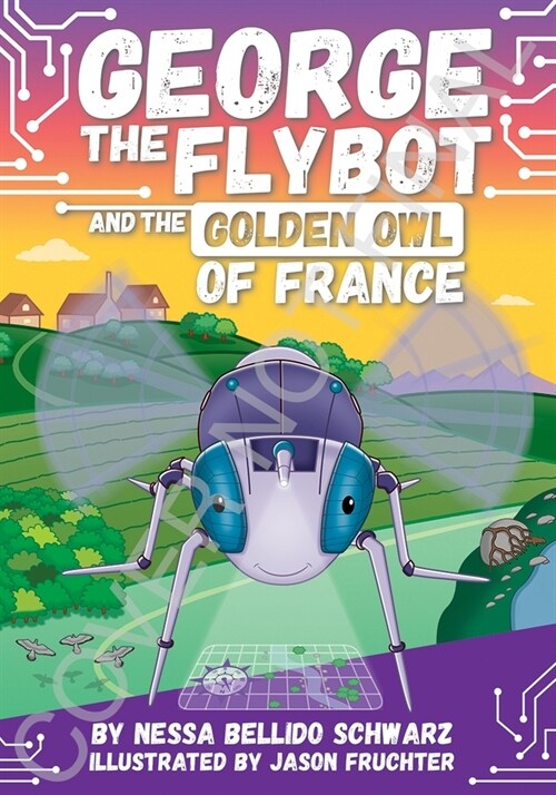 George the Flybot and the Golden Owl of France (Paperback)