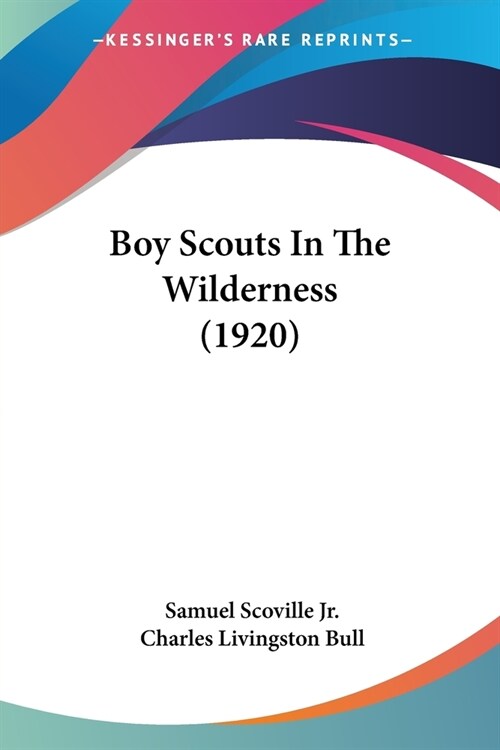 Boy Scouts In The Wilderness (1920) (Paperback)
