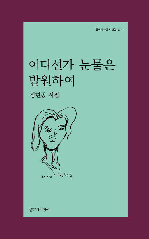 [큰글자도서] 어디선가 눈물은 발원하여