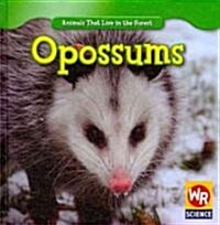 Opossums (Library Binding)