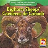 Bighorn Sheep / Carnero de Canad? (Library Binding)