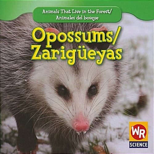 Opossums / Zarig?yas (Paperback)