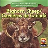 Bighorn Sheep / Carnero de Canad? (Paperback)