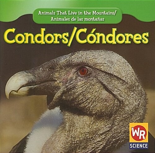 Condors / C?dor (Paperback)