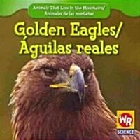 Golden Eagles / 햓uila Real (Paperback)