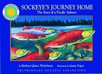 Sockeye's journey home(The)story of a pacific salmon 표지이미지