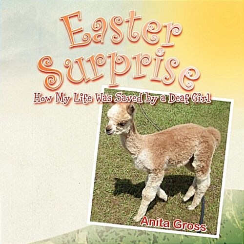 Easter Surprise (Paperback)