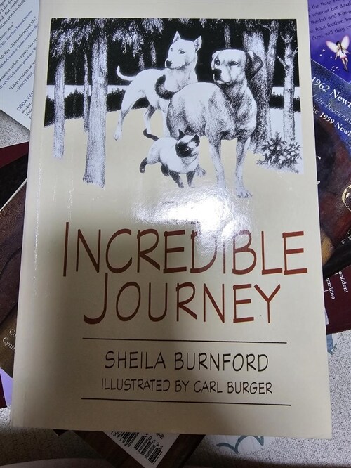 [중고] The Incredible Journey (Paperback)