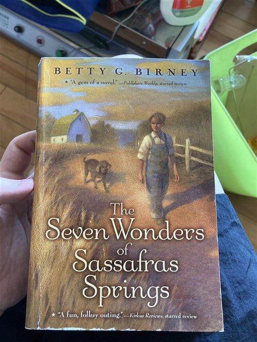 [중고] The Seven Wonders of Sassafras Springs (Paperback)