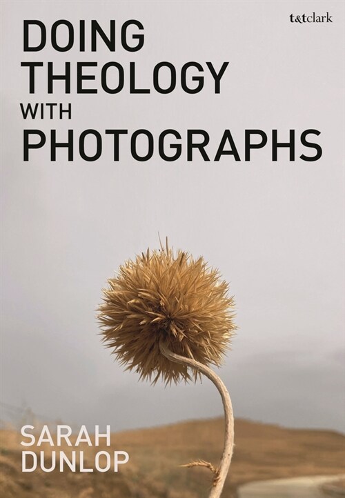 Doing Theology with Photographs (Paperback)