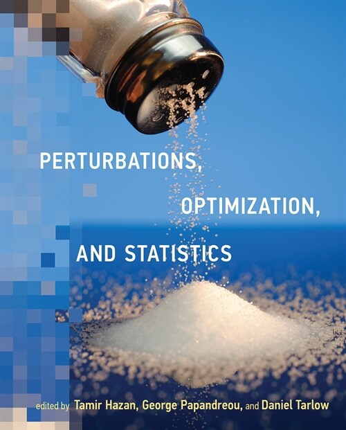 Perturbations, Optimization, and Statistics (Paperback)