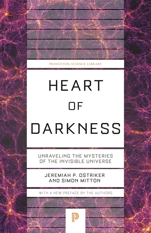 Heart of Darkness: Unraveling the Mysteries of the Invisible Universe (Paperback)