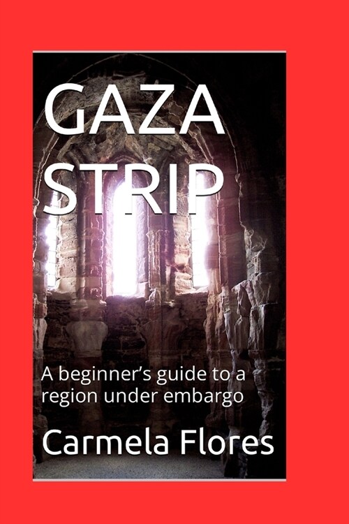 Gaza Strip: A beginners guide to a region under embargo (Paperback)