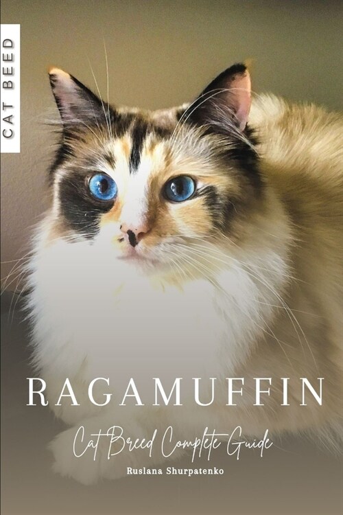 Ragamuffin: Cat Breed Complete Guide (Paperback)