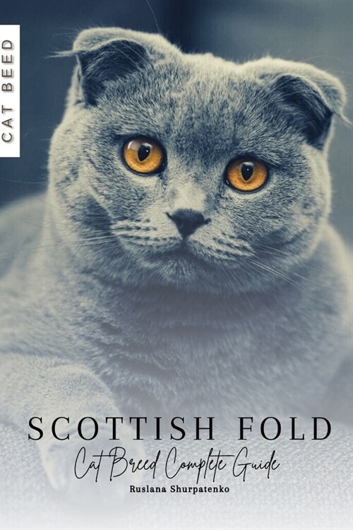 Scottish Fold: Cat Breed Complete Guide (Paperback)