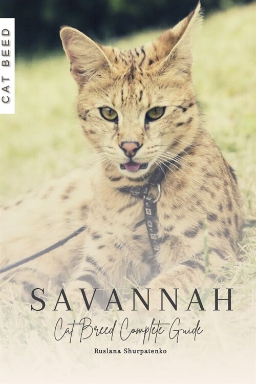 Savannah: Cat Breed Complete Guide (Paperback)