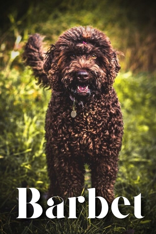 Barbet: How to train your dog and raise from puppy correctly (Paperback)