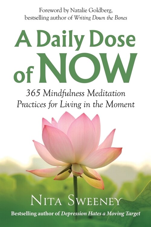 A Daily Dose of Now: 365 Mindfulness Meditation Practices for Living in the Moment (Paperback)