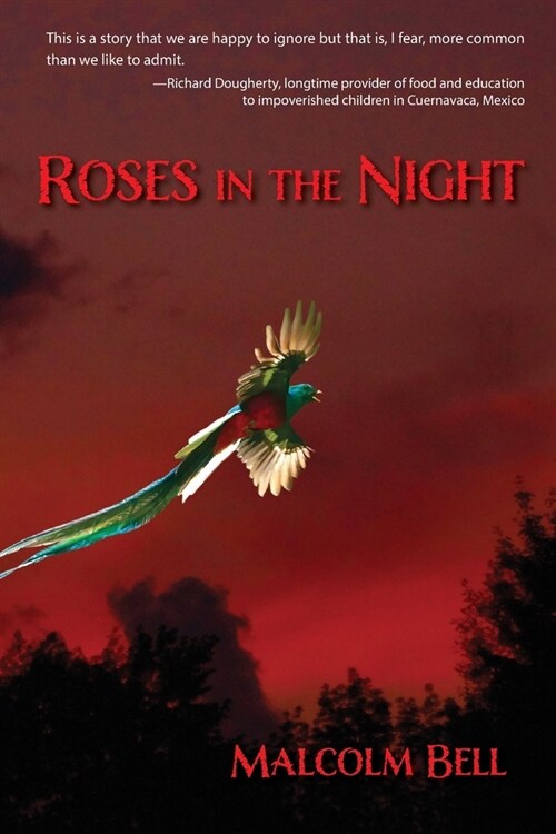 Roses in the Night (Paperback)