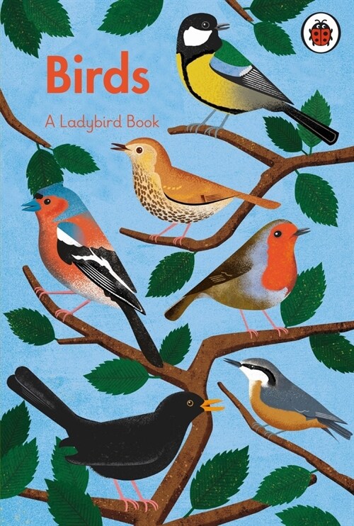A Ladybird Book: Birds (Hardcover)