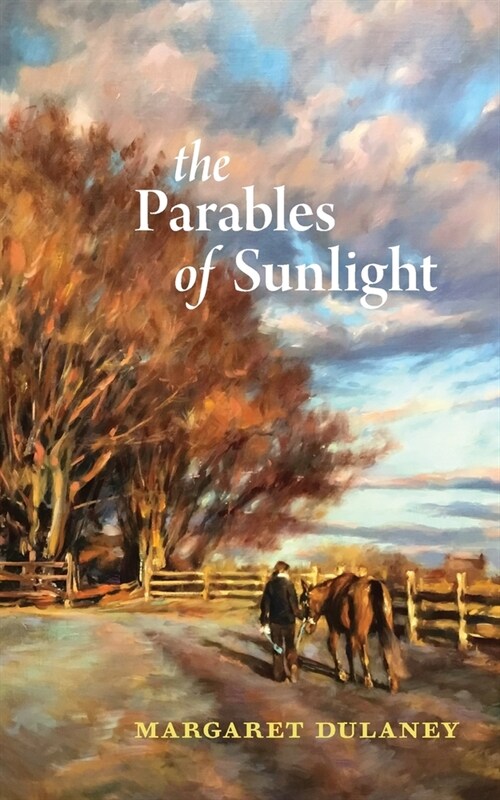 The Parables of Sunlight (Paperback)