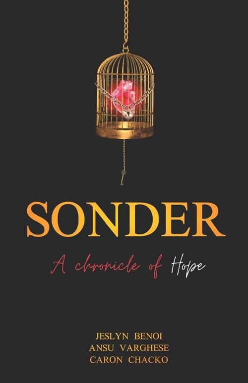 SONDER - A Chronicle of Hope (Paperback)