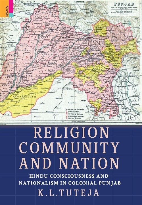 Religion, Community and Nation: Hindu Consciousness and Nationalism in Colonial Punjab: Hindu Consciousness and Nationalism in Colonial Punjab (Hardcover)