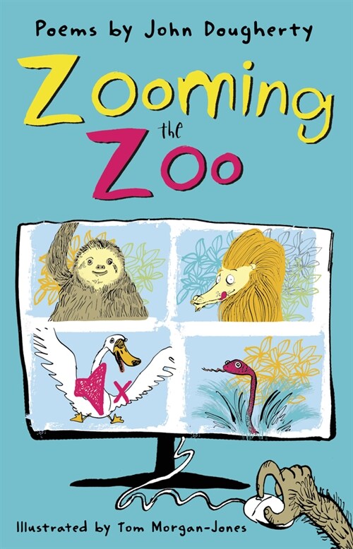 Zooming the Zoo (Paperback)