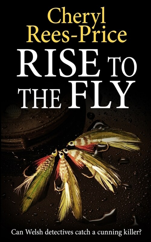 Rise to the Fly: Can Welsh detectives catch a cunning killer? (Paperback)