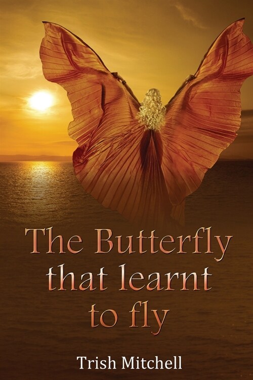 The Butterfly that learnt to fly (Paperback)