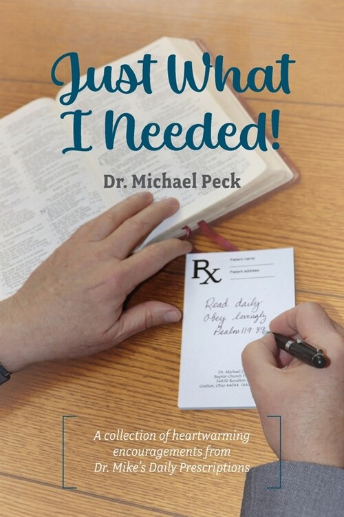 Just What I Needed! (Paperback)