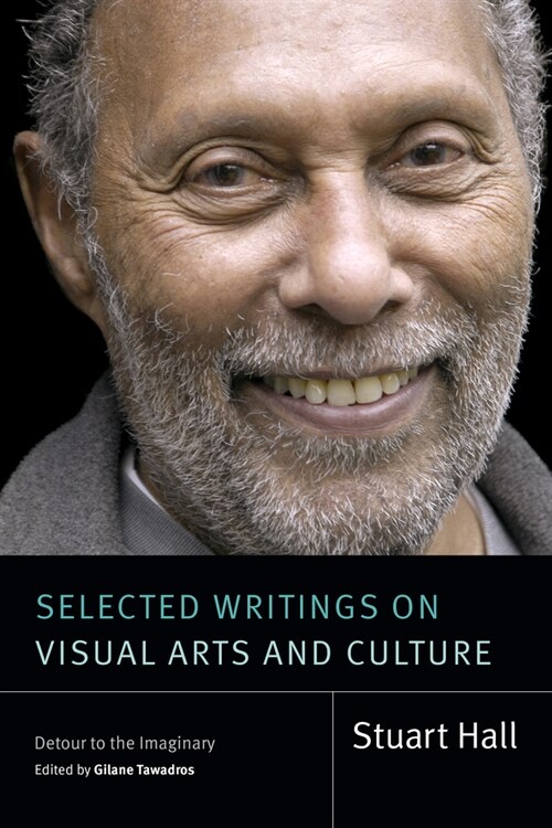 Selected Writings on Visual Arts and Culture: Detour to the Imaginary (Hardcover)
