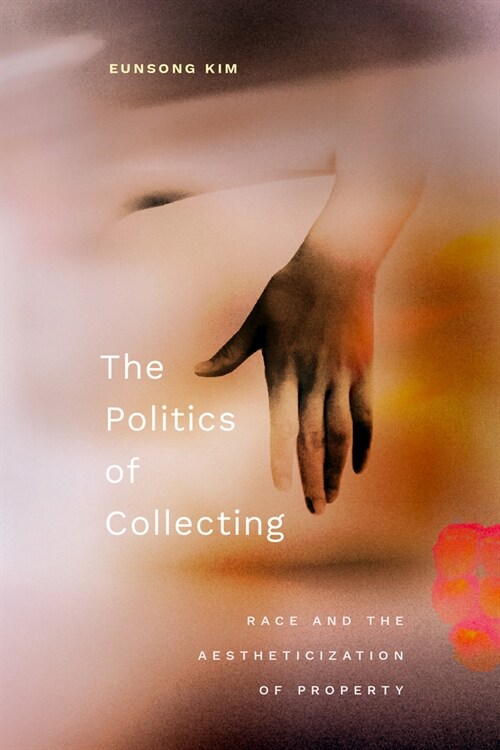 The Politics of Collecting: Race and the Aestheticization of Property (Hardcover)