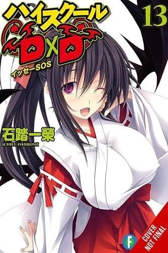 High School DXD, Vol. 13 (Light Novel) (Paperback)