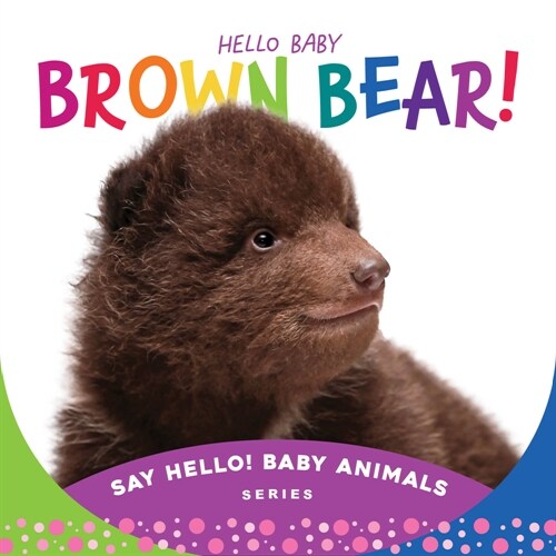 Hello Baby Brown Bear! (Board Books)