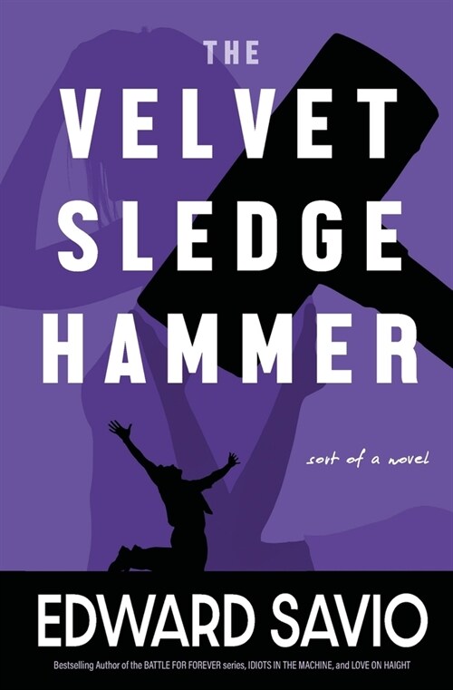 The Velvet Sledgehammer: Sort of A Novel (Paperback)