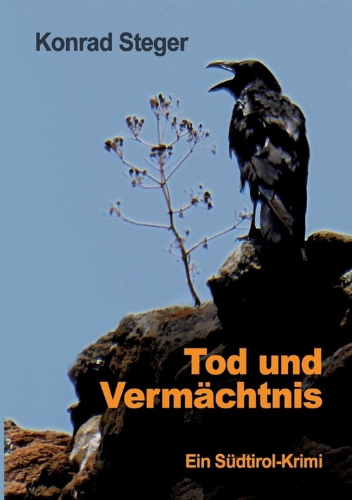 Tod und Verm?htnis: Ein S?tirol-Krimi (Paperback)